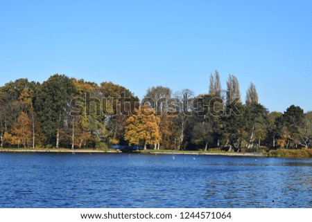 Beautiful Autumn landscape with trees along the water's edge.