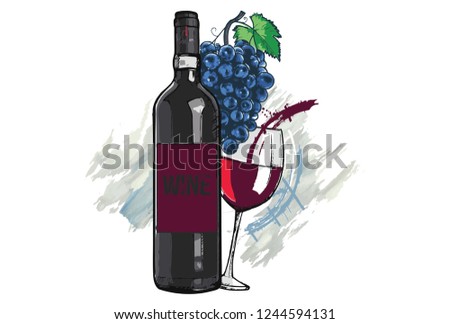 A bottle and a glass of wine and grapes, hand drawn Illustration.