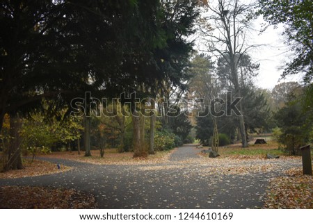 Autumn landscape with pathway and trees in the park.
