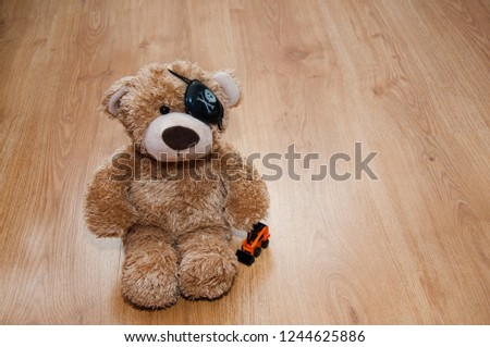 Teddy bear pirate playing with bobcat toy