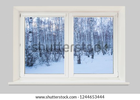 View from the window to the winter landscape  forest and an evening cloudy sky