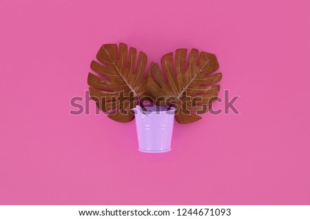 Tropical palm monstera leaves lies in a pastel pail on a colored background. Flat lay trendy minimal composition. Top view