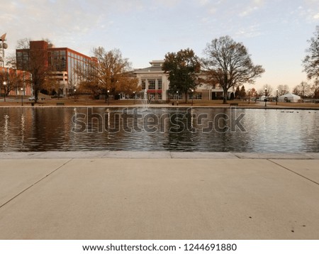 Urban pond view