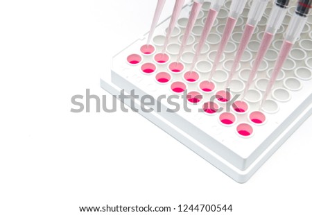 In vitro cellular assay using multi pipette and 96 well white plate
 Royalty-Free Stock Photo #1244700544