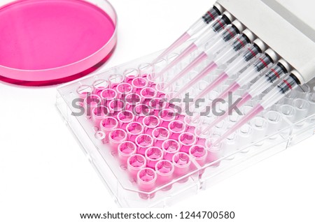 In vitro cellular assay using multi pipette and 96 well micro plate
 Royalty-Free Stock Photo #1244700580