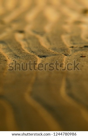 Selective focus. The undulating bottom of the sea is illuminated by the setting sun after a low tide on a summer evening. Nature background. Abstract texture. Sea landscape