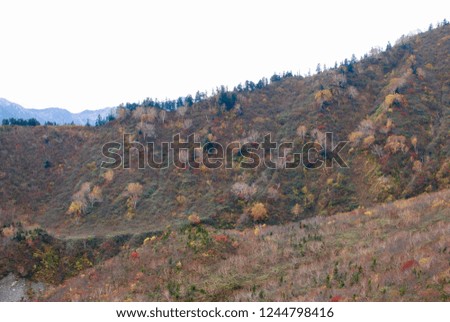 Natural landscape view of the autumn red-orange-green color forest on the mountain