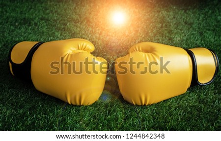The abstract art design background of leather boxing gloves put on green grass ground floor,blurry light around