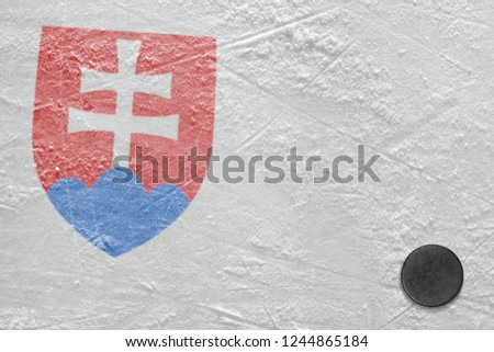 Color image on the ice hockey arena. Concept, hockey, background