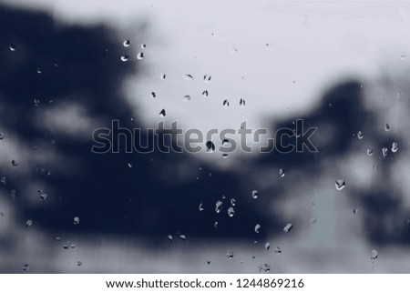 Rain drop on window pane
