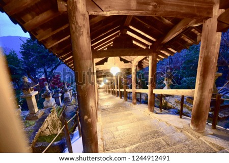 Nightscape and Color of leaves of Japanese temple, Hasedera, Nara, Japan