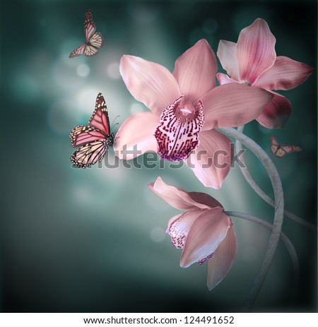 Orchids with a butterfly on the coloured background Royalty-Free Stock Photo #124491652