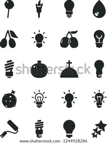 Solid Black Vector Icon Set - matte light bulb vector, new roller, saving, drop, Chupa Chups, pomegranate, cornels, tasty, energy, flame torch, flag on moon, crown with cross, three stars