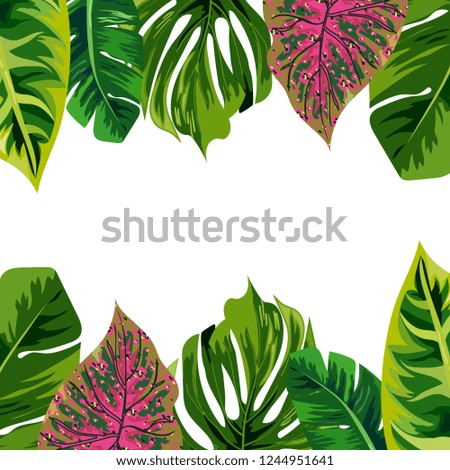 Tropical leaf background