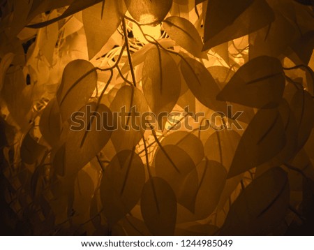 tropical leaves texture background, toned picture. jungle leaves.  Soft color
