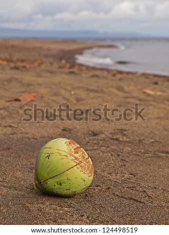 Coconut at the beach