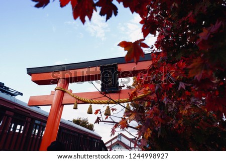 A railway station on the Fujikyuko Line Kawaguchiko Station in Fujikawaguchiko, Yamanashi, Japan with the maple tree in autumn. 