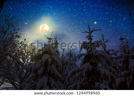 Fir trees covered with hoarfrost and full moon. Forest in the frost.Christmas card.