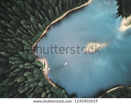 Lake At Forest With Green Pine Trees Aerial View, Landscape With River At Woodland 