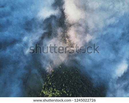 Forest On Mountain Peak Under Clouds Aerial View, Beautiful Nature Landscape With Trees On Hill In Fog 