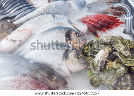 Fresh fish selection on ice
