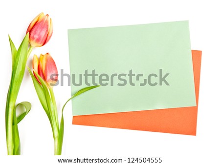 Red stripy tulips and two unsigned envelopes on white background