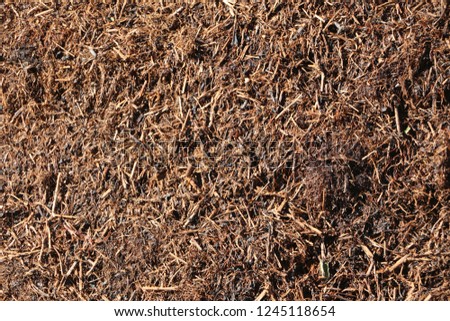 Raw compost tea manure; excellent, nutrient-rich organic fertilizer and soil conditioner. It is used in farming and small scale sustainable,organic farm / artvin / turkey  Royalty-Free Stock Photo #1245118654