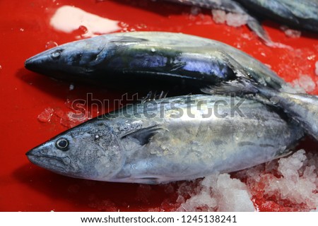black sea bonito  fishes on red wooden background. rize/ turkey  Royalty-Free Stock Photo #1245138241