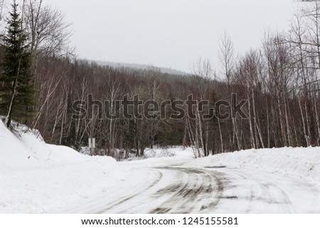 Winter landscape with road and trees