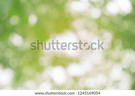 Abstract background, which is a natural green bokeh for graphic design.