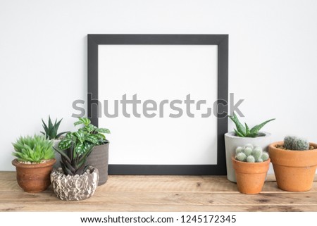 Square frame photo with cactus on table.