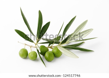 Green olives and olive branches on a white background Royalty-Free Stock Photo #124517746