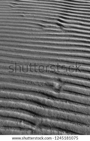 Wave, sea and sand. Black white nature photography.