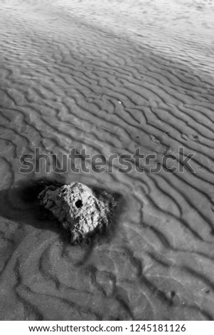 Wave, sea and sand. Black white nature photography.