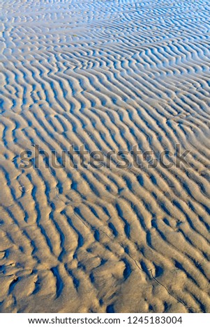 Wave, sand and sea. Nature background.