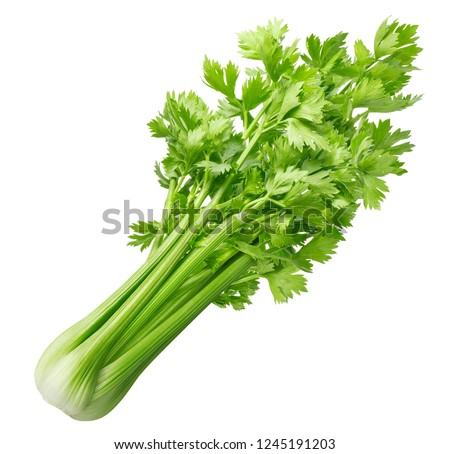 Fresh celery isolated on white background.  Royalty-Free Stock Photo #1245191203