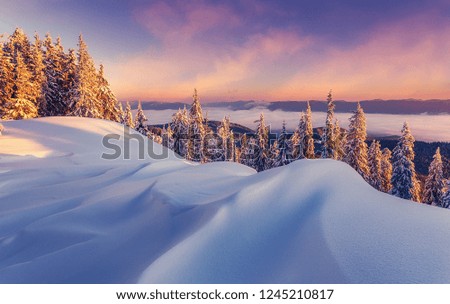 Scenic Image at winter mountains during sunset. Awesome Alpine highland with colorful sky over the wintry landscape. Amazing Winter view at snowcovered valley. Wonderful Nature Background. 