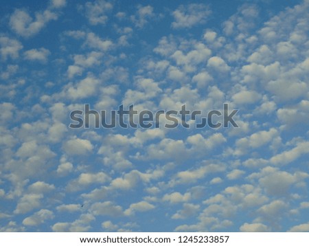 The pattern of white clouds is similar to cotton wool with a bight blue sky. 