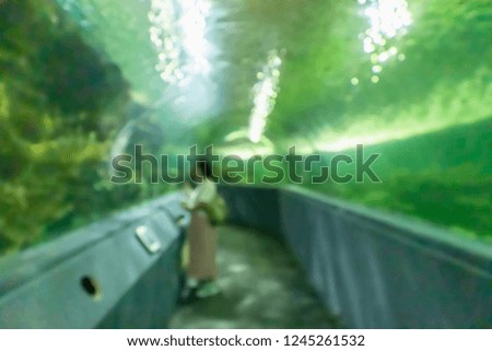  Underwater tunnel aquarium blur background