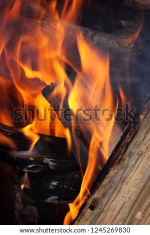 firewoods in flames,  Kyivska oblast, Ukraine 