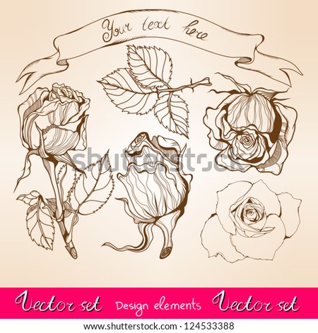 Vector vintage set with the old paper a different roses.