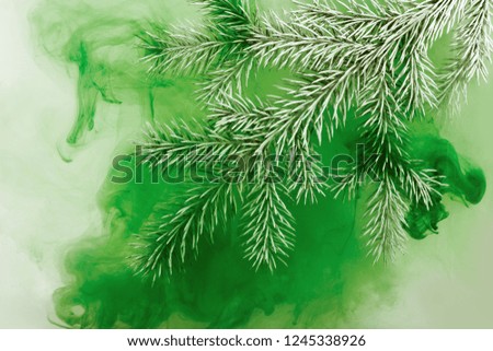 Branches needles with green acrylic paints inside the water on a white background. Watercolor style and abstract image of christmas tree branches.