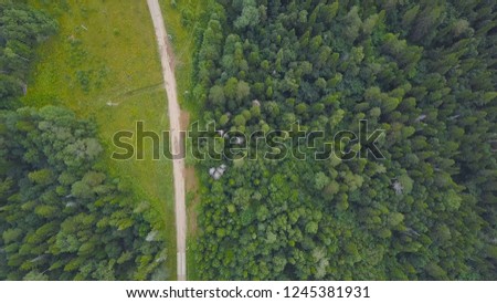 Top view of rural road in green forest. Clip. Country road between avenue of trees of green forest in rural countryside