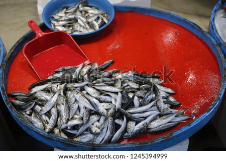 Fresh mackerel, horse mackerel fishes  in fisherman . Sea fish mackerel pile top view. 