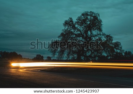 Country road with old oak tree and light trails of cars