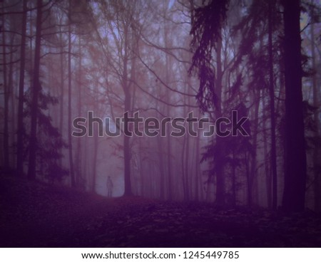 Dark creepy foggy forest, man in dark clothes on the road surrounded by gloomy fantasy landscape. Silence and calm, dreaming,loneliness. Autumn,november. Composite photo.
