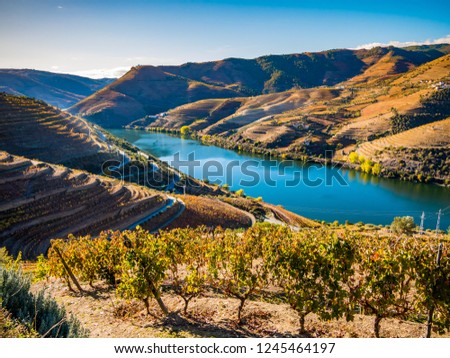 Douro River from the hill Royalty-Free Stock Photo #1245464197