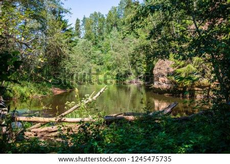summer day on water in calm river enclosed in forests with sandstone cliffs and dry wood. dark water in river of Brasla, Latvia