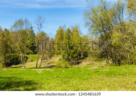 plain simple countryside spring landscape with fresh green meadows and forests . blue sky over