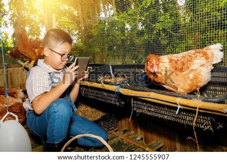 Portrait Boys wearing glasses, 7 years old, raising chickens on a fun farm, using a tablet,Shoot interesting hens in the foreground.